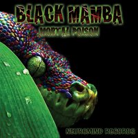 Cosmic Trip - Black Mamba