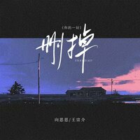 删掉(你的一切) - 向思思 & 王宗介