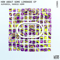 Soul Circuit - Auphoria & Markus Homm