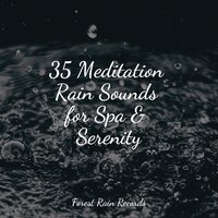 Park, Birds, Insects, Busy, Calm Wind - Regen zum Schlafen & It's Raining