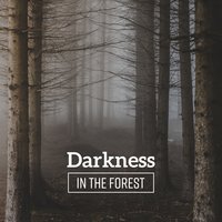 Treetop - Relaxing Night Music Academy