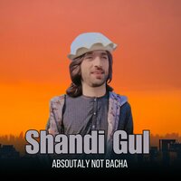 Absoutaly Not Bacha - Shandi Gul
