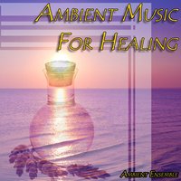 6th Glimpse of Healing - Chris Conway & Ambient Ensemble