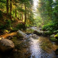 Resting Under A New Sky - 528Hz Repairs DNA & Nature Bird Sounds & Music Time