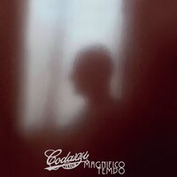 Il Sironi - Sergio Codazzi