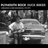 Zebra Blues - Duck Baker