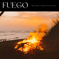 Humo De Fuego - Fuego Ambiental & Fondo de la lectura & #Relajante