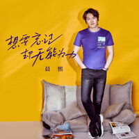 想要忘记却无能为力 - 晨熙