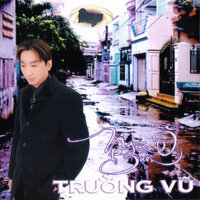 Anh đi chiến dịch - Trường Vũ