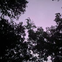 Light Cycles - Paradigm