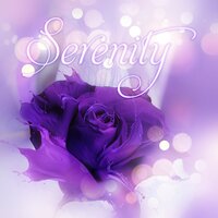 White Noise - Serenity Music Zone