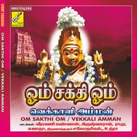 Allikkeni - Krishna Raj