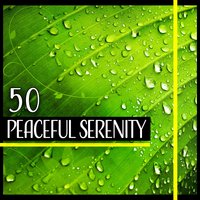 Reflection, Destress and Deep Focus - Opening Chakras Sanctuary