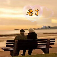 老了 - 崔叶华