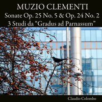 Piano Sonata in F-Sharp Minor, Op. 25 No. 5: II. Lento e Patetico - Claudio Colombo & Муцио Клементи