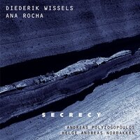 Driftwood - Diederik Wissels & Andreas Polyzogopoulos & Ana Rocha & Helge Andreas Norbakken
