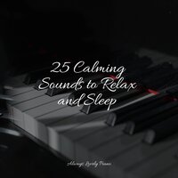 Drifting to Sleep - Musica Relajante Para Estudiar & Classical New Age Piano Music & Soothing Piano Collective
