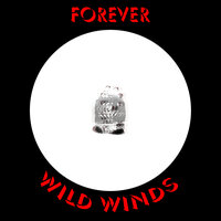 Wild Winds - Forever
