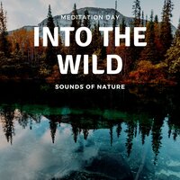 Happy to See You (Forest Sounds) - Meditation Day