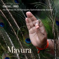 Shrutiprakashini - Sri Ganapathy Sachchidananda Swamiji