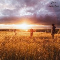 Lost In Space - Sonic