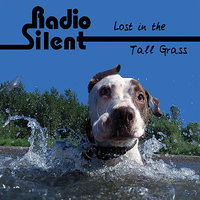 The Arizona Tap Water Memo - Robert Musso & Mark Daterman & Terry Kestel & Radio Silent & Dave McGauley