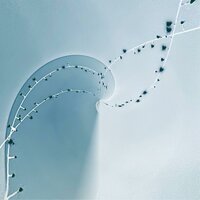 Us in Borealis - LOU