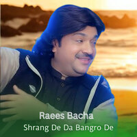 Shrang De Da Bangro De - Raees Bacha