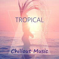 Rolling In - Electro Lounge All Stars