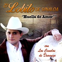 Lena de Pirul - El Lobito de Sinaloa & Los Canelos de Durango