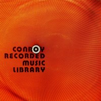 The Mexican Roadrunner - Dennis Farnon