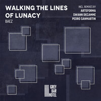 Walking the Lines of Lunacy - Báez & Arteforma