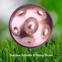 Chakras, Mudras and Mantras - Hang Drum Music & Relaxing Hang Drum Nature & The Hung Drum Project