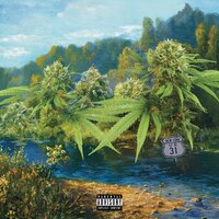 Blackout 2 - Jamal Gasol