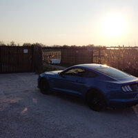 La Havane - GVLIVS & Morty