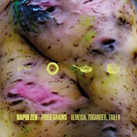 Fried Brains - Gonçalo Almeida & Barbara Togander & Vasco Trilla