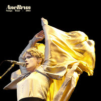 This Voice - Ane Brun