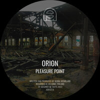 Pleasure Point - Orion
