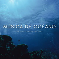 Ondas De Océano y Música - Relajación océano y olas & Relajacion Sonidos Del Mar Y Oceano & Serenidad Academy