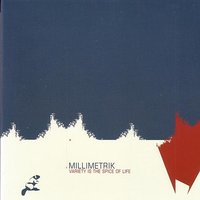 Hommage aux gens qui n'interessent personne - Millimetrik & Sylvain Chauveau