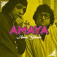 Traicionera - Los Amaya
