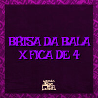 Brisa da Bala X Fica de 4 - MC Delux & MC Gw & DJ Paulo Mix