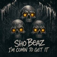 Swag - Sho Beaz & The MIC
