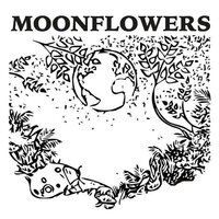 Where Are You - Moonflowers & Anne Marie Almedal & Øyvind Blikstad