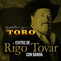 Golondrina de Ojos Negros - Banda Toro & Rigo Tovar