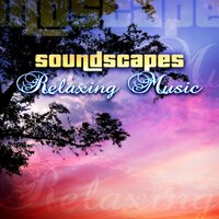 Sleep and Relaxation - Pure Day Academy