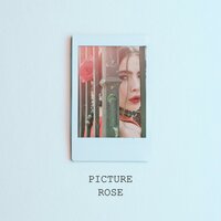 픽처 - Rose