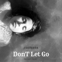 DonT Let Go - Günseli Deniz & Joevasca