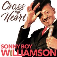 Wake up Baby - Sonny Boy Williamson