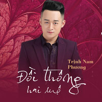 Đắp Mộ Cuộc Tình - Trịnh Nam Phương
